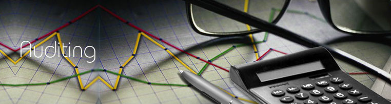 home-auditing2 (1)