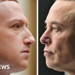 Zuckerberg says Musk 'not serious' about cage fight