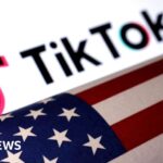 TikTok set to be banned in the US after losing appeal