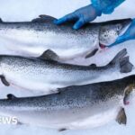 Trump’s trade war puts US love for Scottish goods to the test