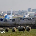 Gatwick airport second runway approved by transport secretary